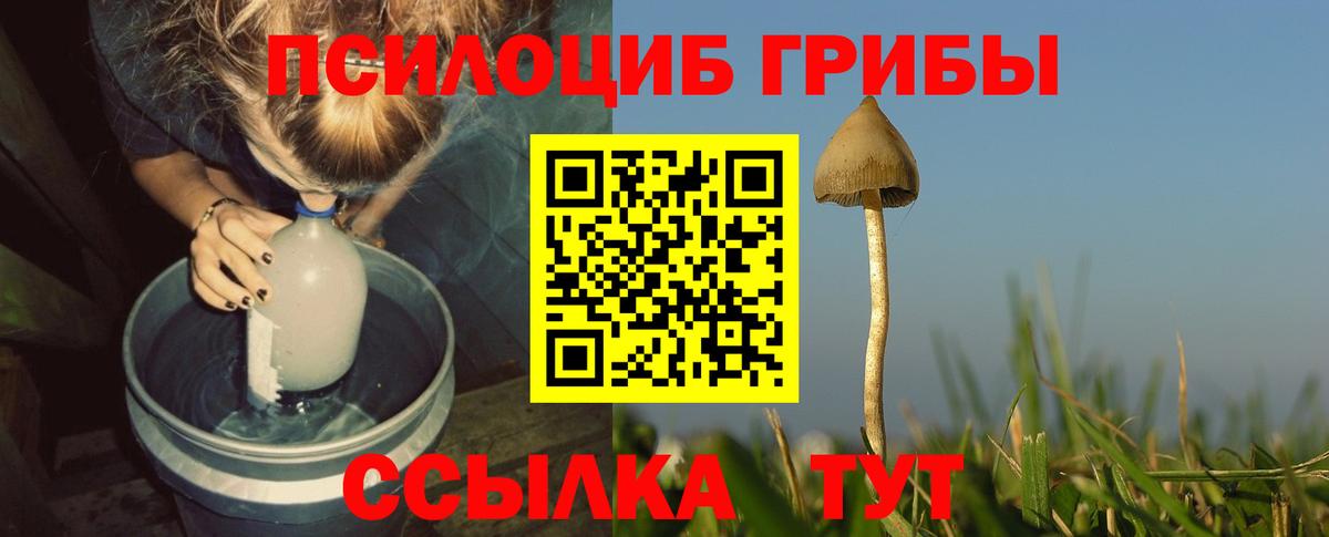 Псилоцибиновые грибы мухоморы  Вход с VPN  Тобольск 